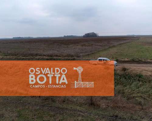 Campo Agrícola Ganadero en Venta, Bolivar, Buenos Aires