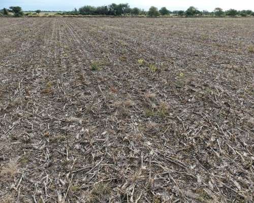 69 HA. Agricola. Villa Trinidad (santa FE)