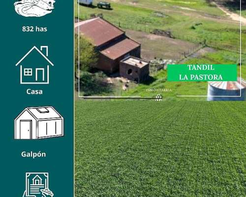Campo en Tandil 832 Has