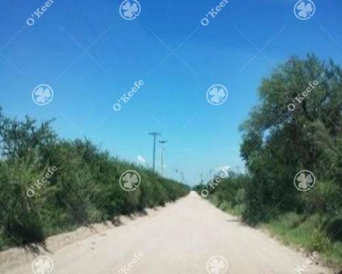 Campo en Venta de 44 Has, Cortaderas, San Luis. Nogales.