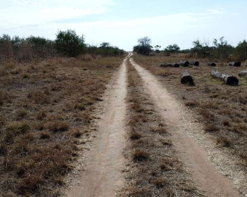 Campo en Venta en Embarcacion