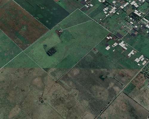 Roque Perez Buenos Aires