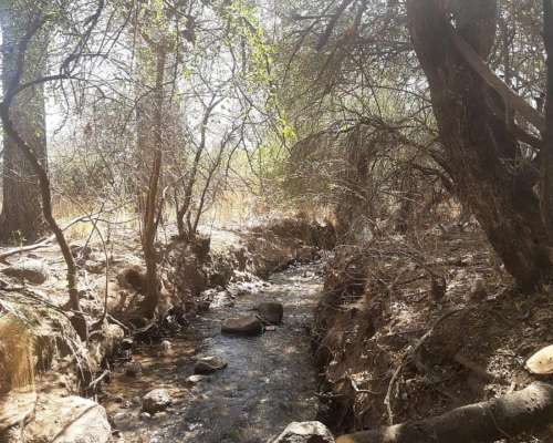 18 Has Llanas con Gran Frente Leandro Alem San Luis