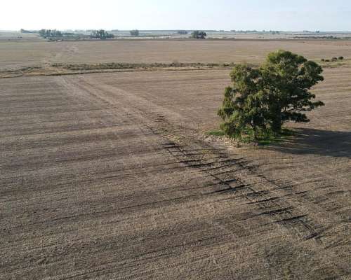 220 Hectáreas Campo Agrícola en Gualeguaychú.
