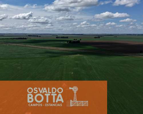 Campo 100% Agricola Sobre Ruta a 10km de Tres Arroyos