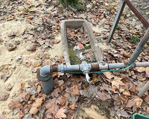 Chacra de 2 Has Sobre Ruta Asfaltada en San Pedro