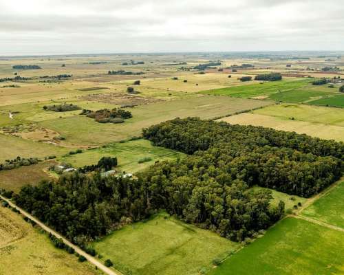 General Mansilla, Magdalena, Buenos Aires - 78 Ha