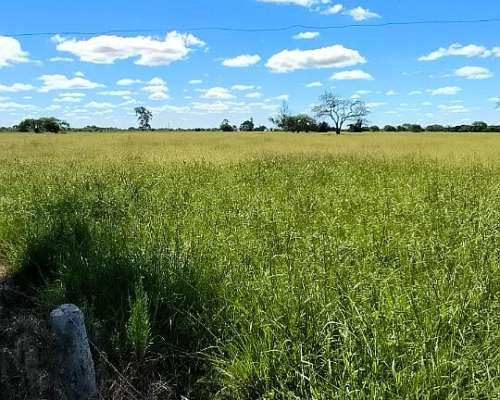 Campo Ganadero con Mejoras en Chajari