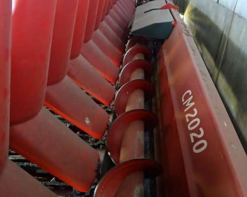 Maicero Ombu de 16 a 52