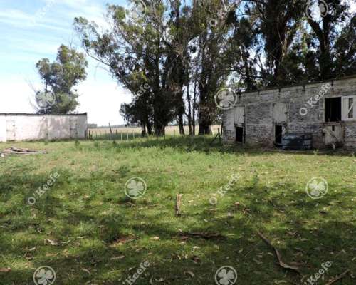 Campo en Venta 57 Has Punta Indio. Ganadero y Disfrute