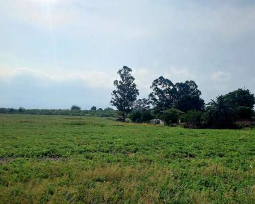 Hectareas Agricolas en Tafi Viejo Tucuman
