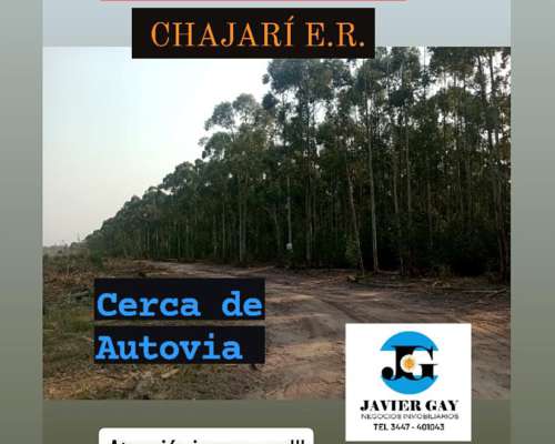 Oportunidad Campo Forestal Chajarí ER