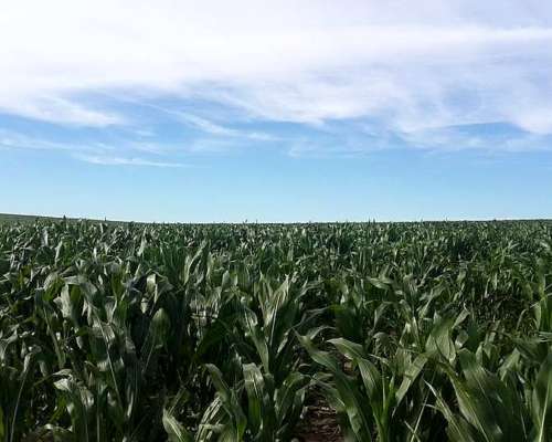 Campo en San Luis. Ubicación Estratégica e Infraestructura