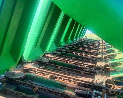 Maicero de Grande de 10 a 52