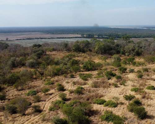 Campo en Venta en Embarcacion