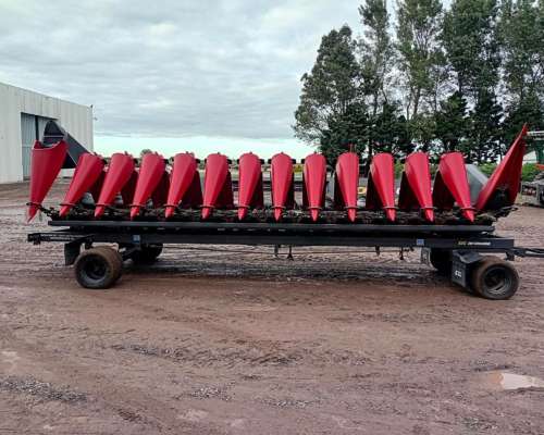 Maicero de Grande - año 2025