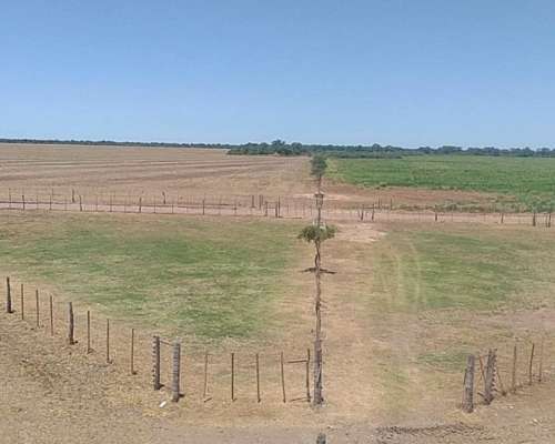 Campo Mixto 1500 Has. en Obispo Trejo, Cordoba