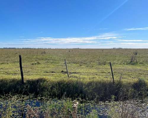 Campo 223 Ha Santa Regina, Gral. Villegas, BS. AS.