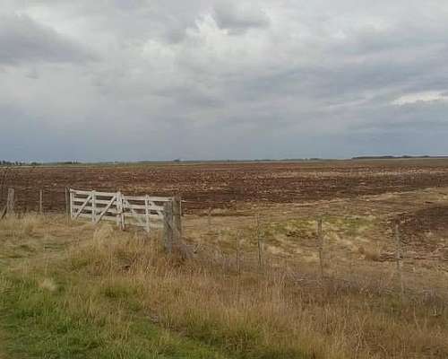 133 Has Campo Mixto Agrícola Ganadero en Lobería