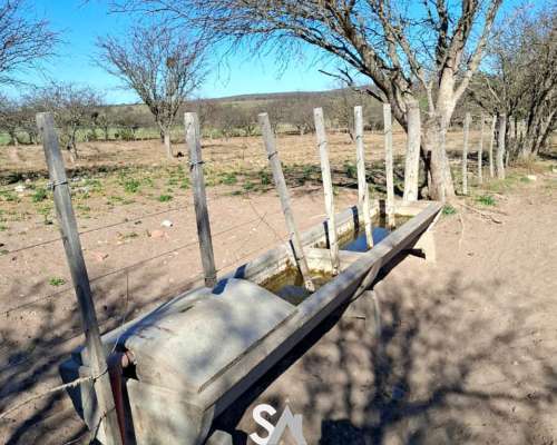 Se Vende Campo Ganadero de 415 en General Acha, la Pampa
