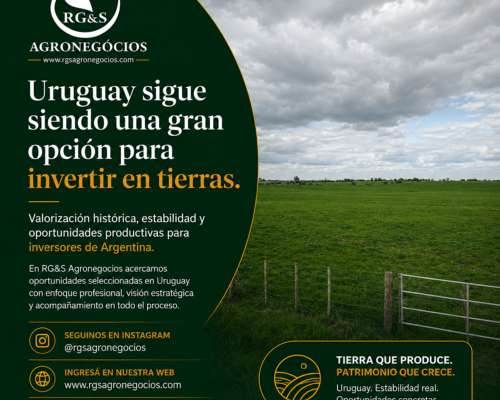 Invertir en Campos Productivos en Uruguay: Oportunidades a M