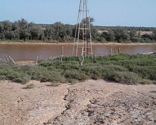 Campo Ganadero 5900 Has. Chañar. la Rioja