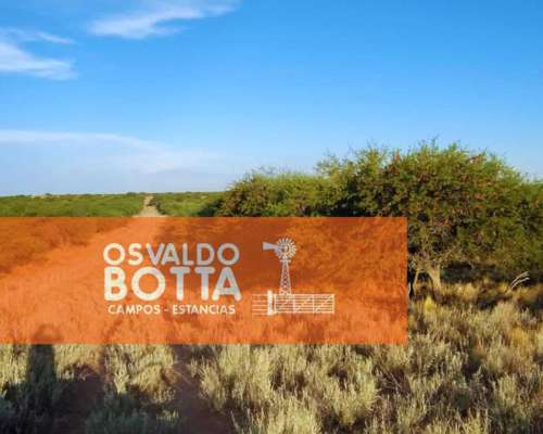Campo en Venta 1250has Telen, la Pampa