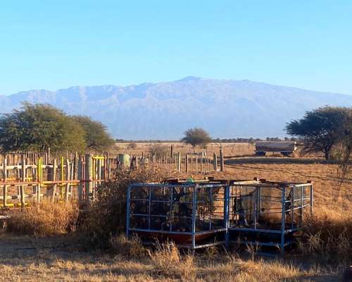 Campo con Fabrica de Aceite de Oliva en Catamarca