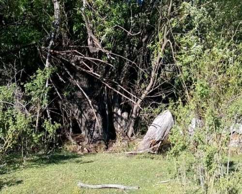 2.5 Ha Paraiso en Epuyen Chubut