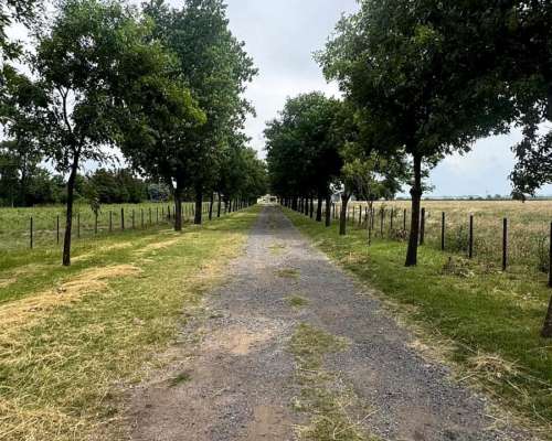 Campo 53 Hectáreas Ruta 9