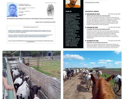 Trabajo en Tambo, Fosa