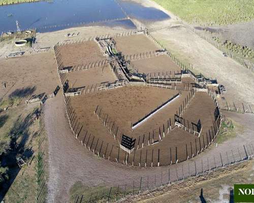 Los Amores, Vera, Santa FE - 10.000 Ha