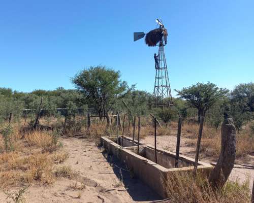 Campo de Monte en Caleu Caleu