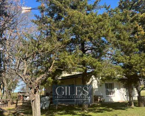 Campo Mixto 80 Hectáreas C/mejoras