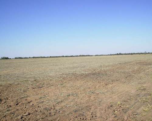 Agrícola Campo en Siembra Directa Excelente Zona de Chaco