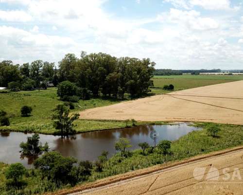 Campo Agrícola con Casco en Zarate