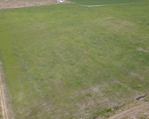 10 Hectáreas Agrícolas a 500 Metros de Ruta, Gualeguaychú.