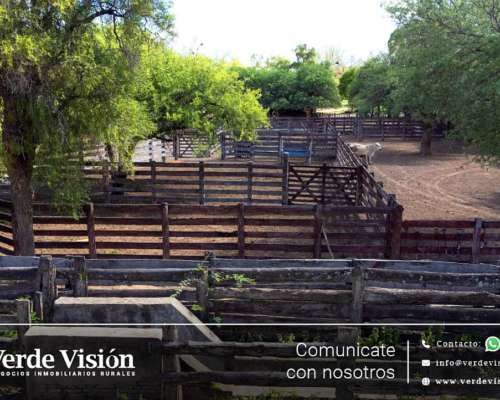 3600 Has en Venta - Pcia de Chaco, Almirante Brown