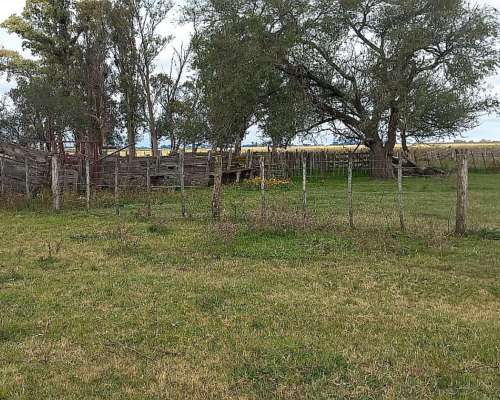 300 Has Mixtas Gral Viamonte