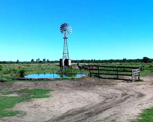 Vende Campo Gral San Martín ‼️ganadero🐄🐂 - Chaco