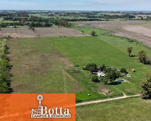 Chacra en Venta – 16 Has – Mercedes, Buenos Aires