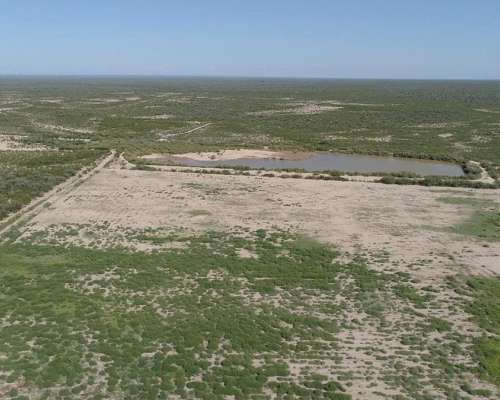 Las Catitas, Santa Rosa, Mendoza - 4.200 Ha
