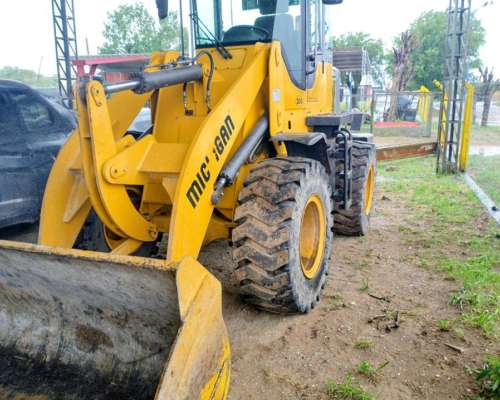 Pala Cargadora Michigan R45 año 2018
