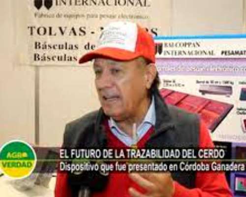 Bascula de Pesaje para Porcinos con Trazabilidad