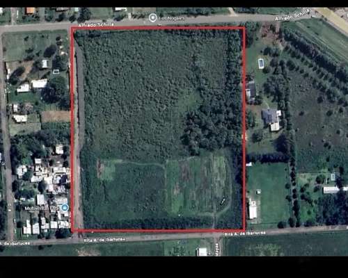 Alquilo Campo en Ibarlucea