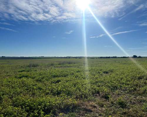 Venta de Campo en Uruguay. Estancia en Florida