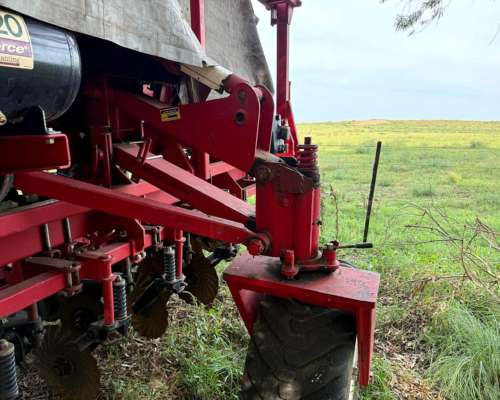 Semb G Grueso Crucianelli Gringa 7035 23 a 35