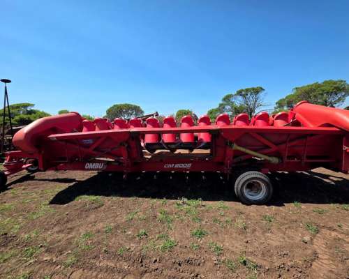 Maicer Ombu de 13 a 52 con Kit a 70