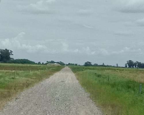 Navarro: Campo 330 Has