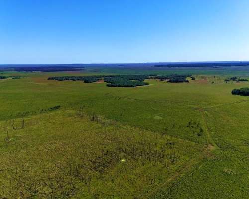 Santo Tomé - 2365 Ha - Corrientes